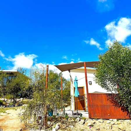 Hotel Oasis 444 San Marcos  Zewnętrze zdjęcie