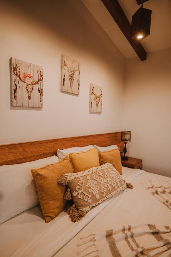 Hotel Oasis 444 San Marcos  Zewnętrze zdjęcie
